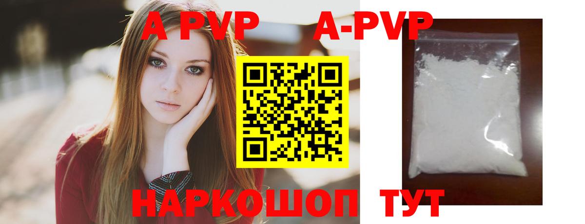 A-PVP СК КРИС Аргун