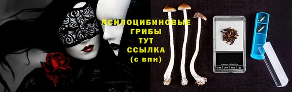 не бодяженный Пересвет