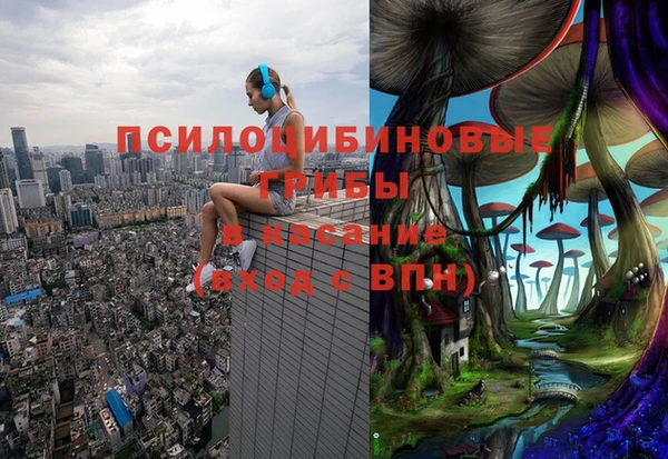 не бодяженный Пересвет
