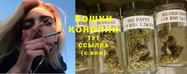 крисы Переславль-Залесский