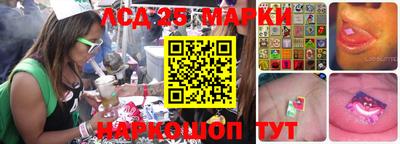 прущие грибы Абинск