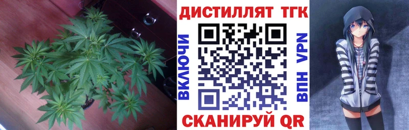 это наркотические препараты  Аргун  ТГК THC oil 