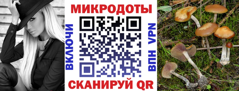 Галлюциногенные грибы прущие грибы  Аргун 
