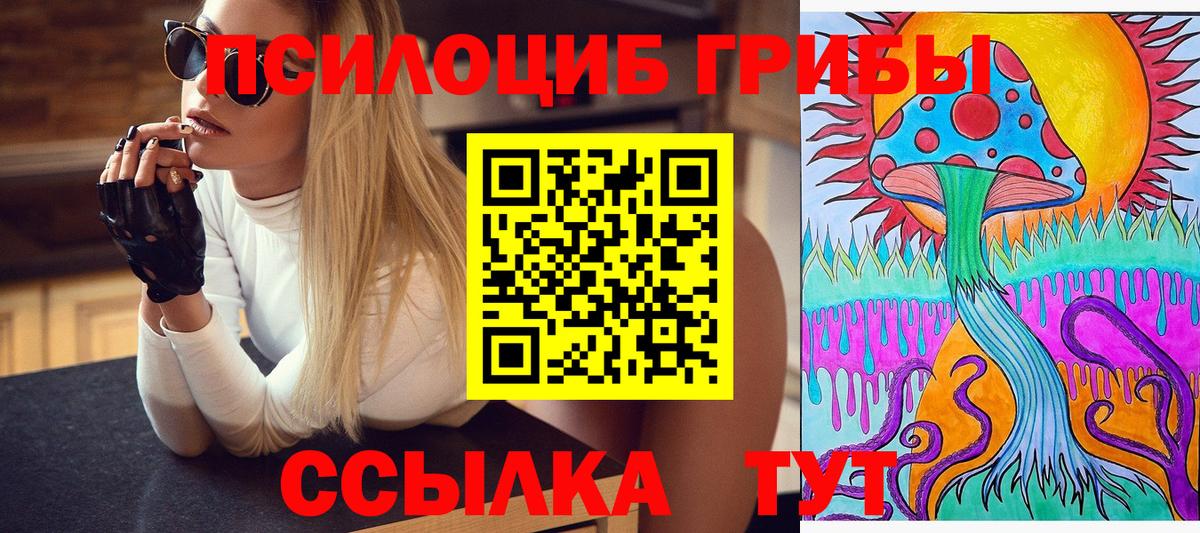 Псилоцибиновые грибы MAGIC MUSHROOMS  Аргун  Галлюциногенные грибы Psilocybine cubensis 