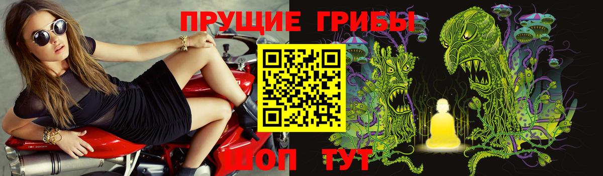 Аргун  Галлюциногенные грибы мухоморы  Вход с VPN 