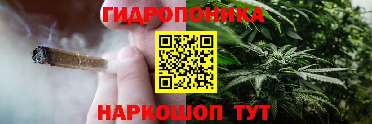 Аргун  МАРИХУАНА конопля  Вход с VPN  Бошки Шишки план  МАРИХУАНА планчик 